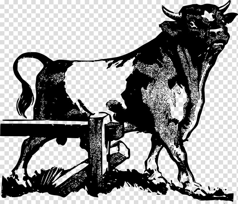 Texas Longhorn English Longhorn Brahman cattle Bull Drawing, bull transparent background PNG clipart