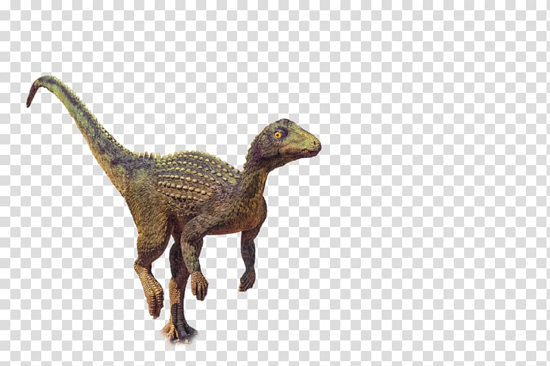 Velociraptor La Ruée des Fadas Lyon 2018 Portable Network Graphics .xchng Dinosaur, how to draw a cartoon velociraptor transparent background PNG clipart