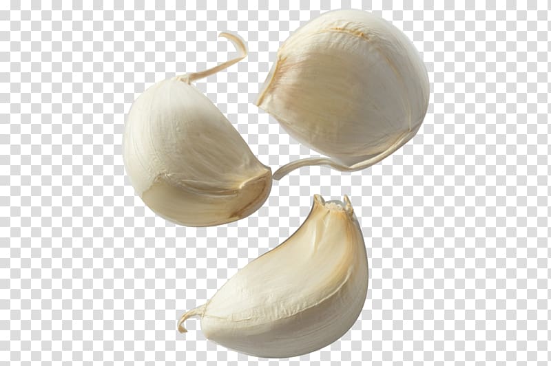 Garlic bread Clove Condiment Onion, garlic transparent background PNG clipart