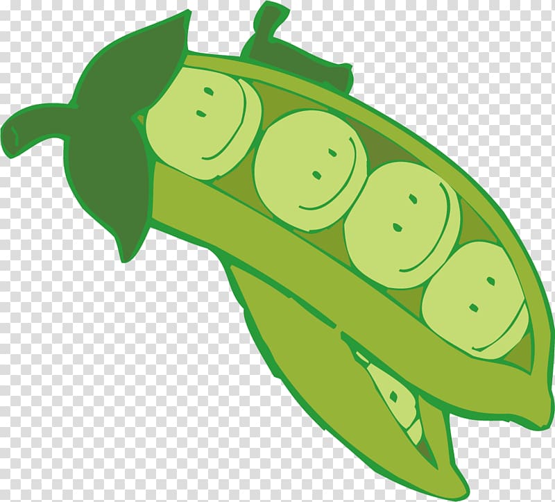 Fruit Pea Cartoon Bean, pea transparent background PNG clipart