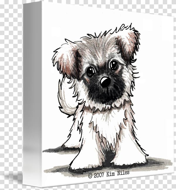 kind Affenpinscher Schnoodle Shih Tzu Canvas, puppy transparent background PNG clipart