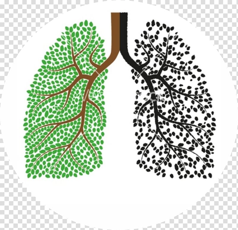 Lung transplantation Breathing Organ transplantation, others transparent background PNG clipart