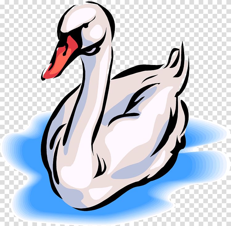 Black swan Whooper swan Free content , Bird Swimming transparent background PNG clipart