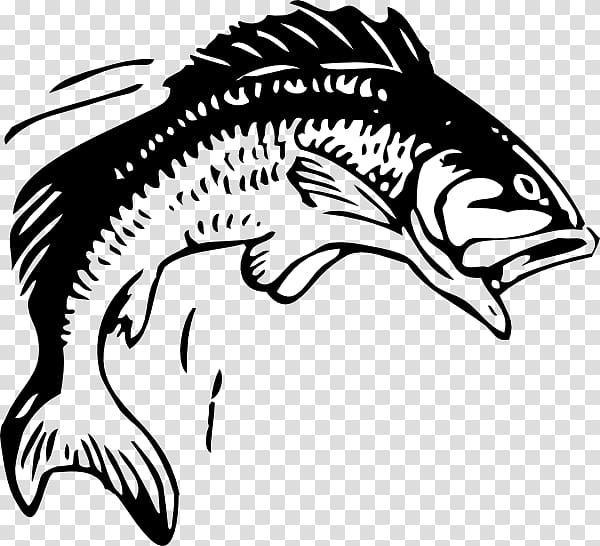 Fishing Free content Bass , Bass Jumping transparent background PNG clipart