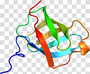 Line , design transparent background PNG clipart thumbnail