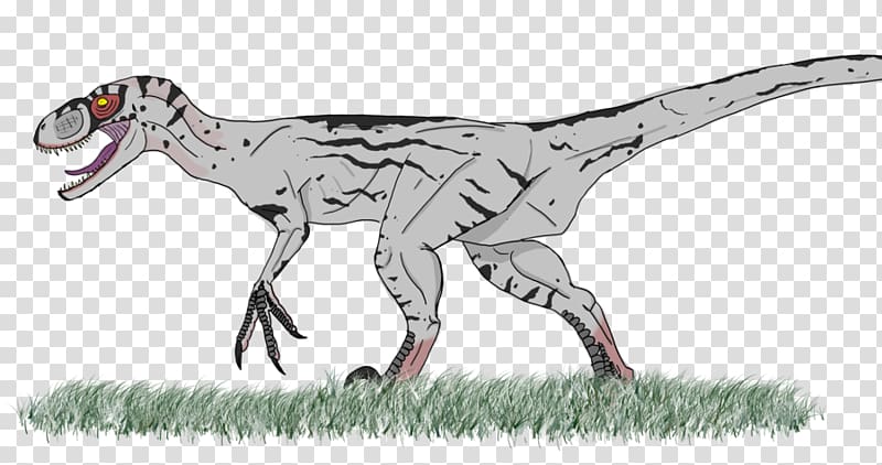 Velociraptor Deinonychus Tyrannosaurus Jurassic World Evolution Jurassic Park, jurassic park transparent background PNG clipart