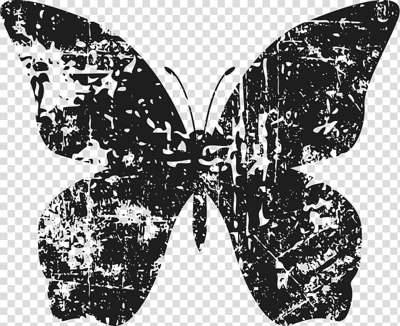 Brush-footed butterflies Group 42, Inc. Butterfly Moth Symmetry, butterfly transparent background PNG clipart