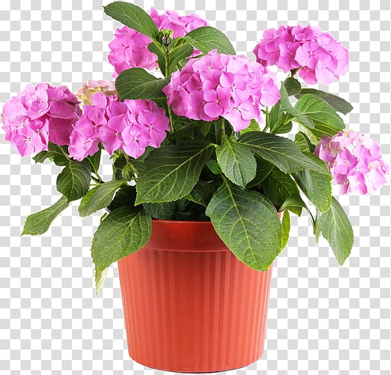 Flowerpot Garden Vase Landscaping Ceramic, potted plant transparent background PNG clipart