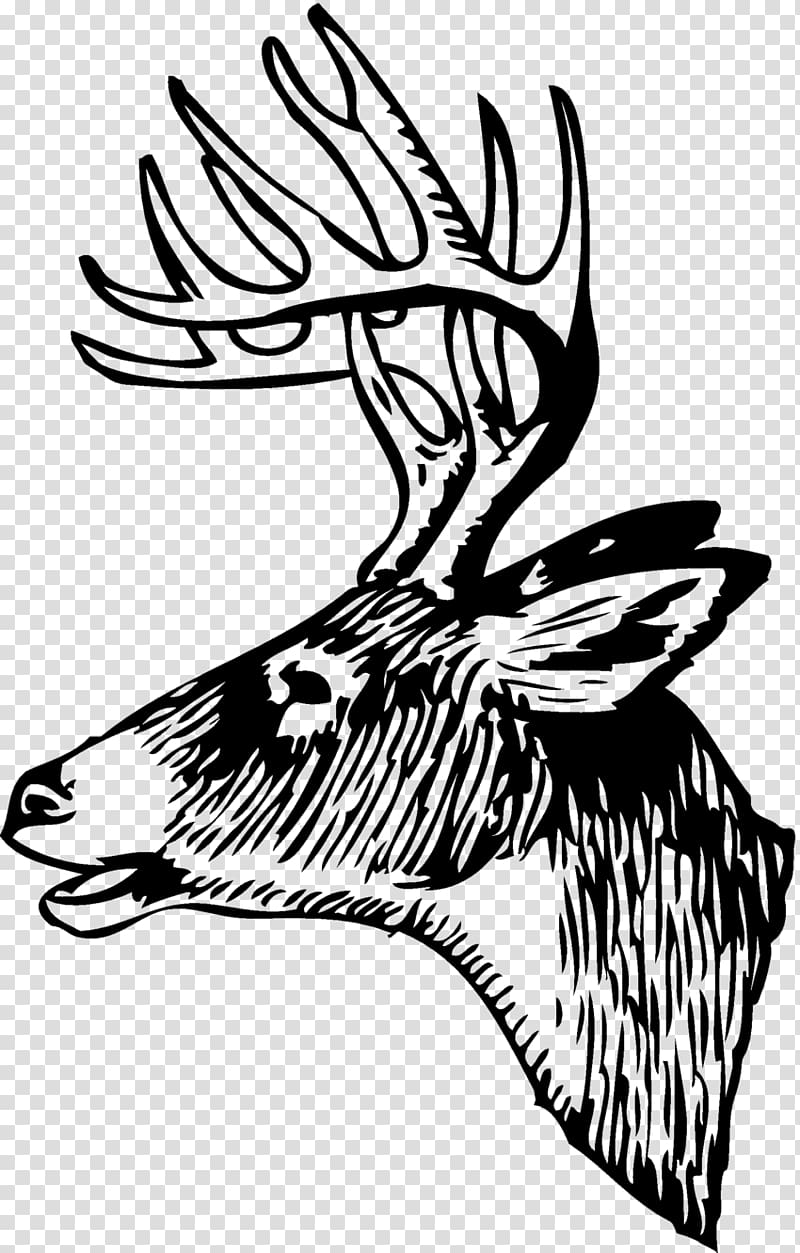 White-tailed deer Red deer Elk , hunting transparent background PNG clipart