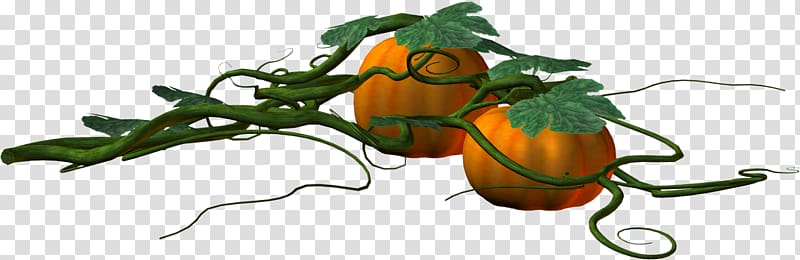 Pumpkin Orange Leaf, Creative pumpkin leaves transparent background PNG clipart