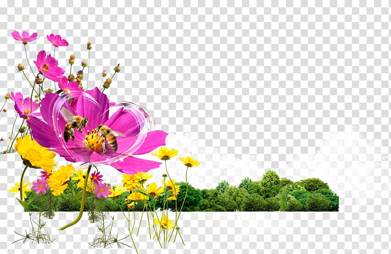 Bee Flower Gratis Computer file, Flowers flowers Bee transparent background PNG clipart