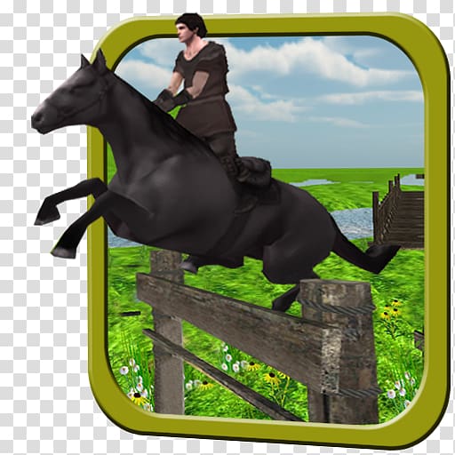 Stallion English riding Rein Mustang Equestrian, Adventure Travel transparent background PNG clipart