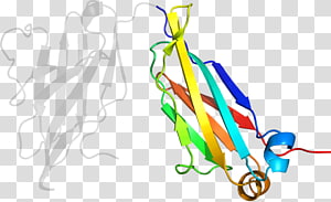 Line Point Organism , line transparent background PNG clipart thumbnail