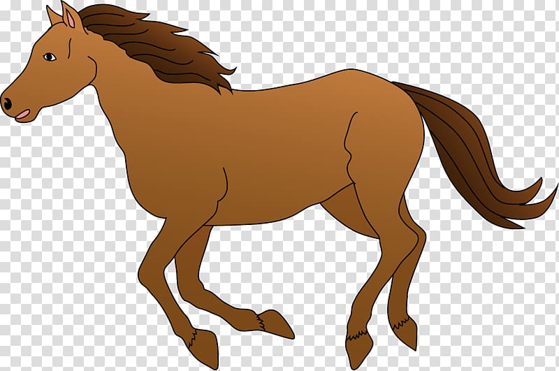American Quarter Horse Mustang Stallion Pony , Brown transparent background PNG clipart