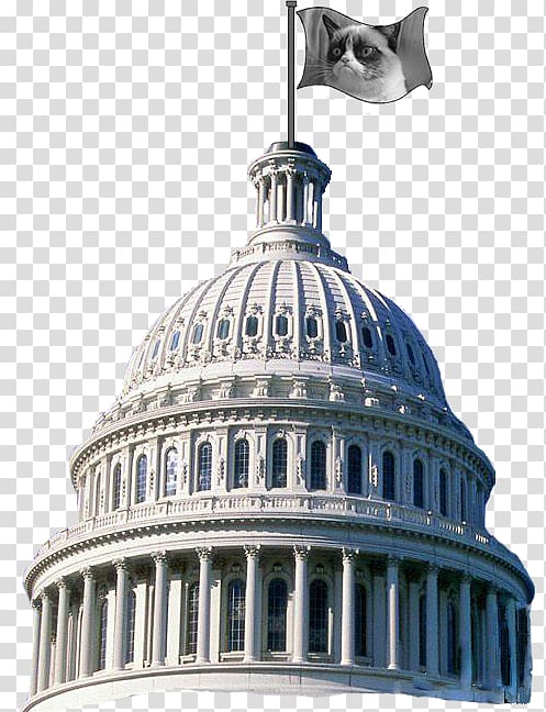 United States Capitol dome United States Congress United States nationality law Immigration law, Washington, D.C. transparent background PNG clipart