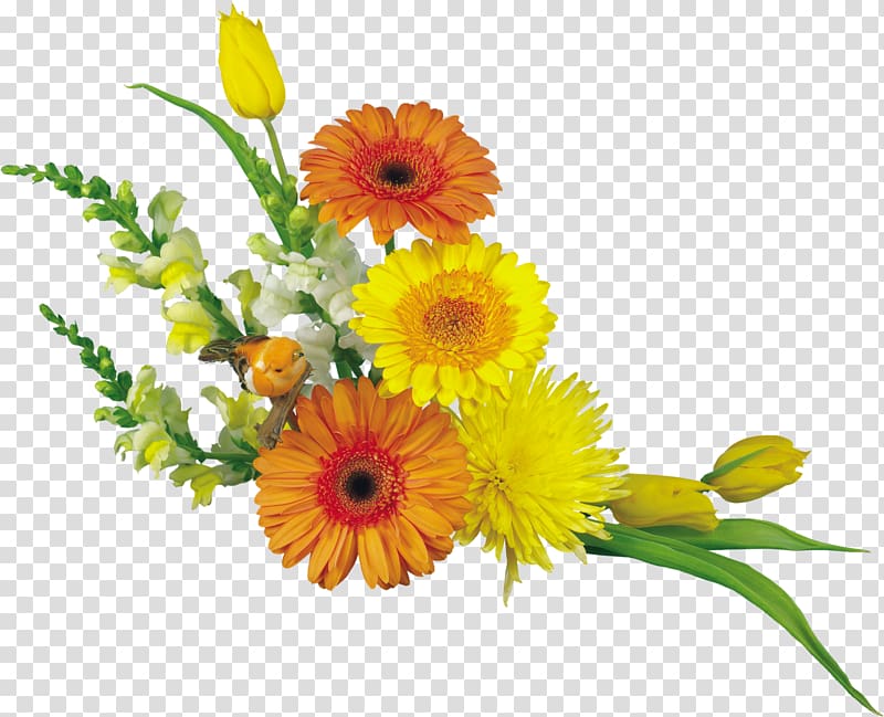 Desktop Flower bouquet , gerbera transparent background PNG clipart