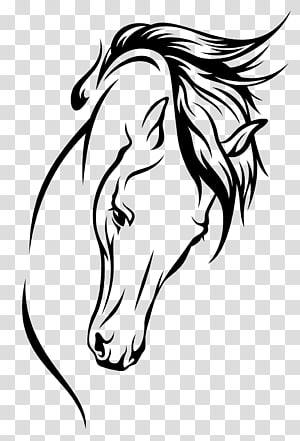 Horsehead Transparent Background Png Cliparts Free Download