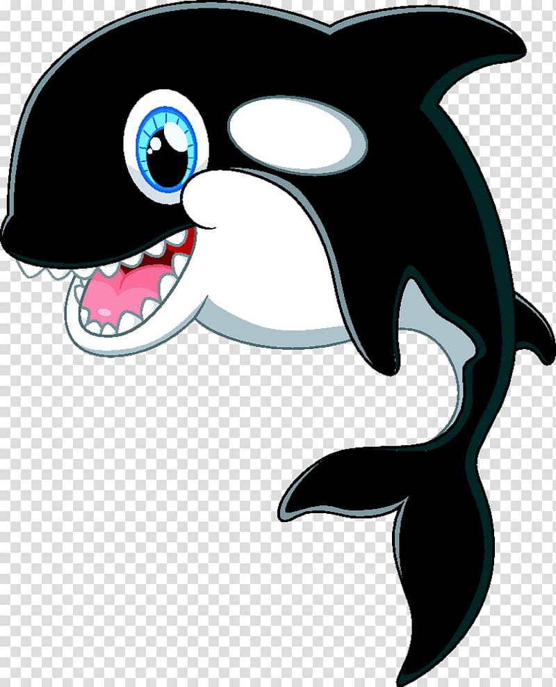 Cartoon Killer whale , Cute dolphin transparent background PNG clipart