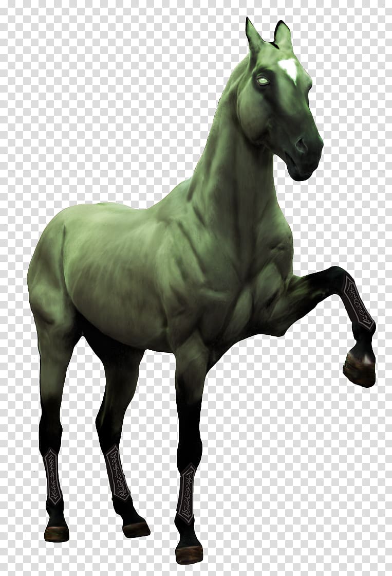 Mustang Mare Stallion Pony Art, pale horses transparent background PNG clipart