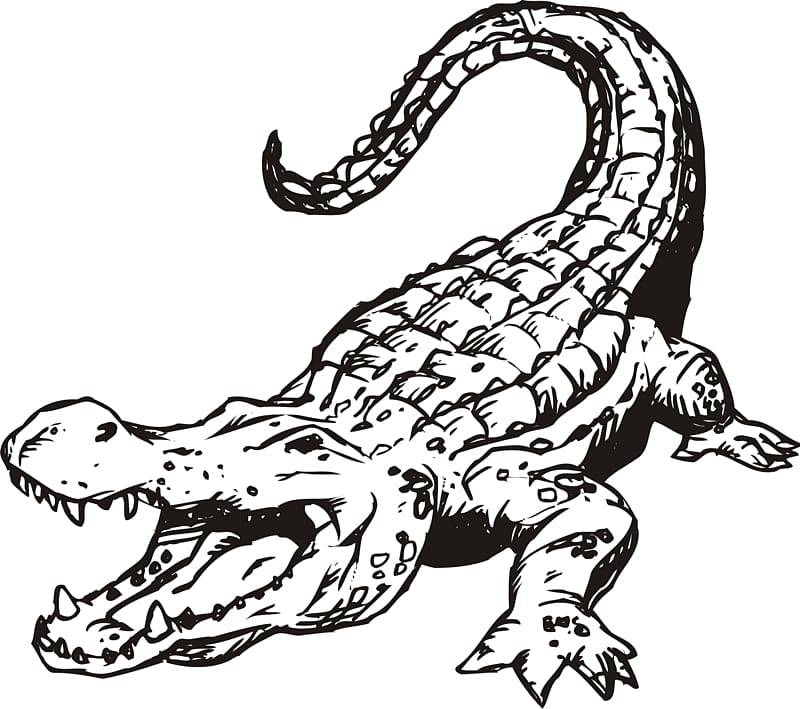 Alligator Crocodile Black and white , Bear Mascot transparent background PNG clipart
