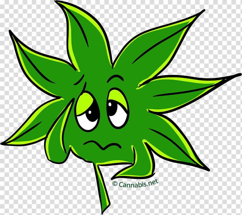 Kush Cannabis sativa Leaf , cannabis transparent background PNG clipart