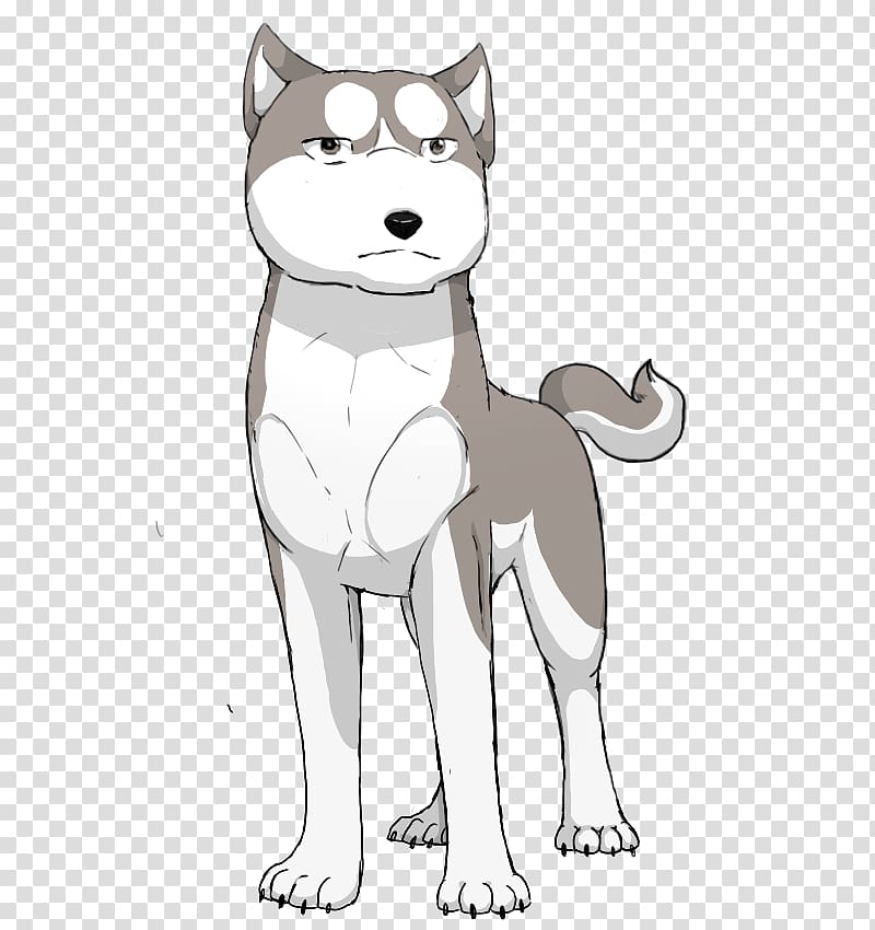 Siberian Husky Whiskers Dog breed Cat, Cat transparent background PNG clipart