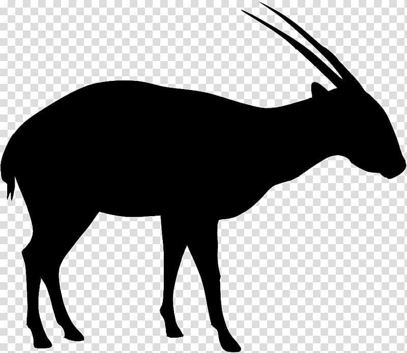 Antelope Saola Annamite Range Gemsbok Bovid, others transparent background PNG clipart