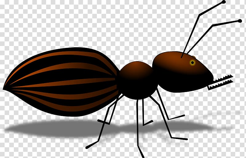 Ant Insect Cartoon , ant line transparent background PNG clipart