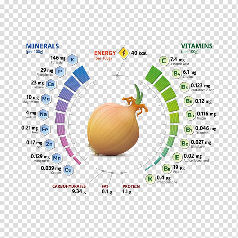 Nutrient Shallot Vitamin Mineral, onion analysis chart transparent background PNG clipart
