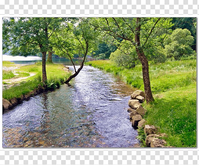 River Tributary Riparian zone View of a Stream , others transparent background PNG clipart