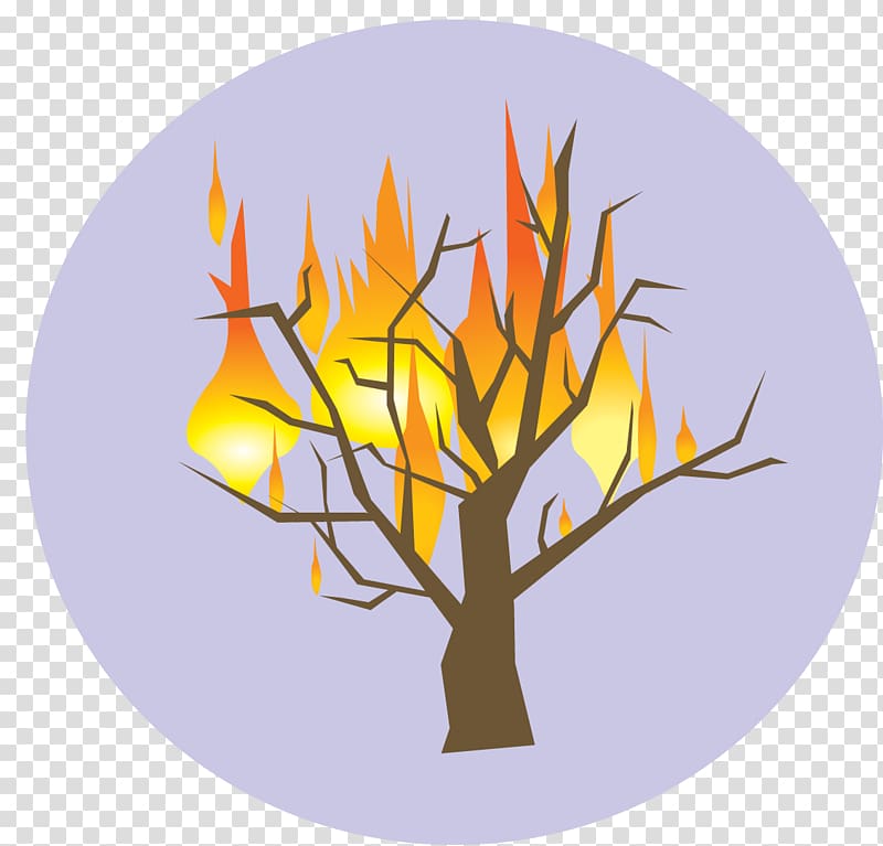 Burning bush Tree of Jesse Symbol God Presbyterianism, symbol transparent background PNG clipart