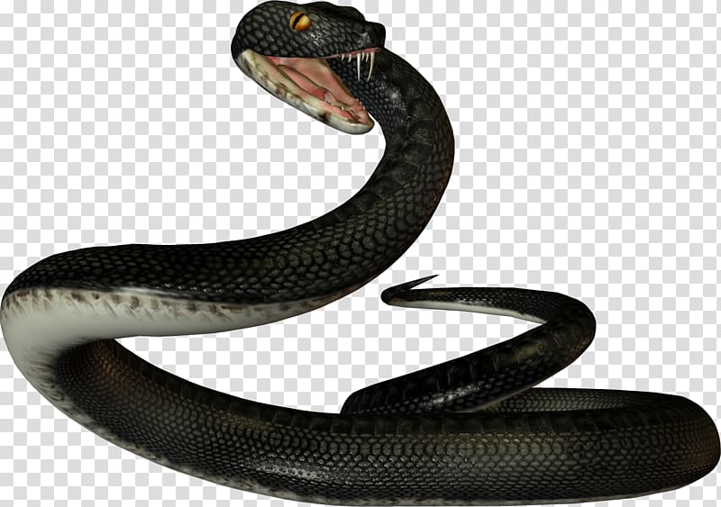 Snake Reptile Vipers Ahaetulla prasina, snake transparent background PNG clipart