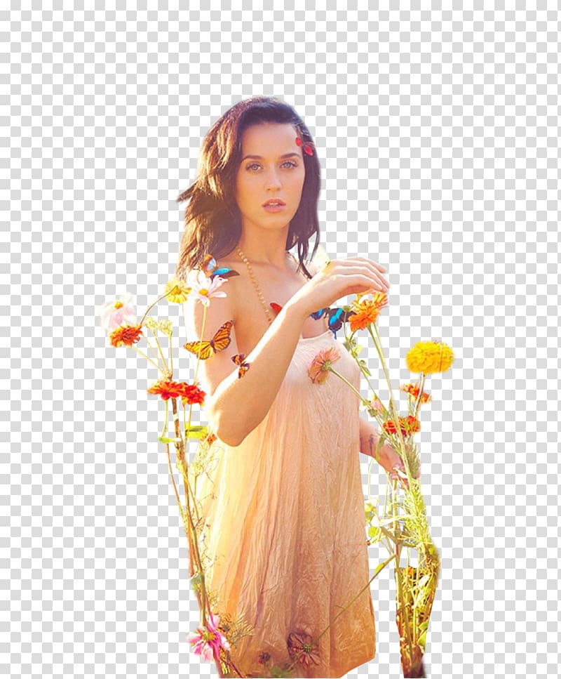 Katy Perry American Idol Prism Singer Music, katy perry transparent background PNG clipart