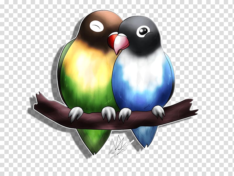 Yellow-collared lovebird Android , Bird transparent background PNG clipart