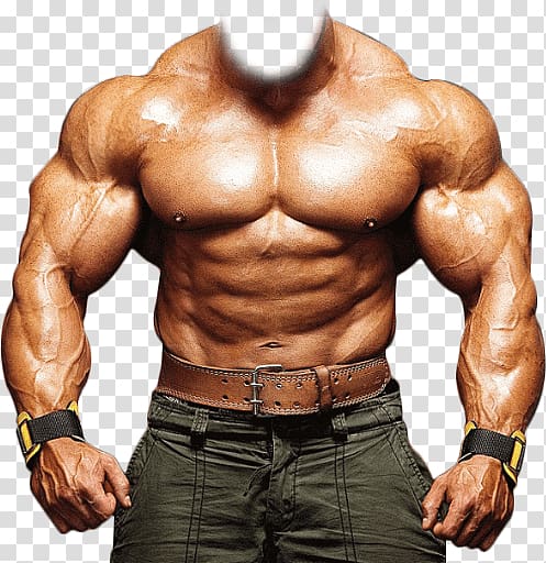Bodybuilding Aptoide , bodybuilding transparent background PNG clipart