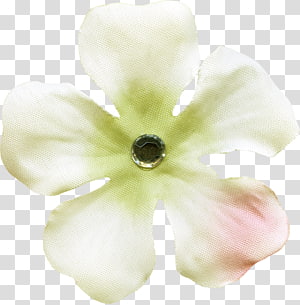 Petal Textile, others transparent background PNG clipart thumbnail