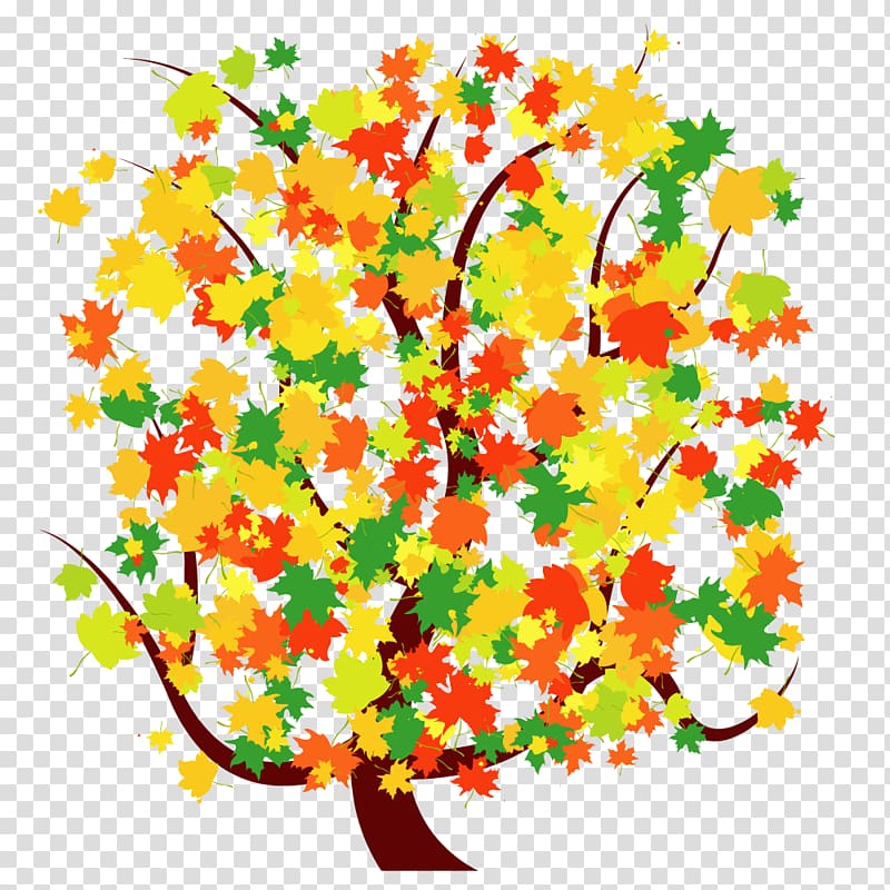 Maple tree material transparent background PNG clipart