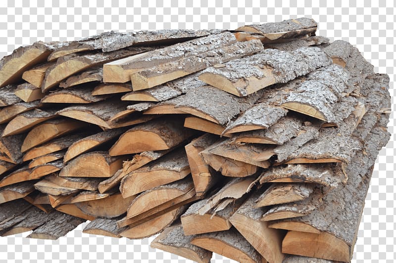 Wood Bark Jordi Giribets, Fusta Trunk Door, wood transparent background PNG clipart