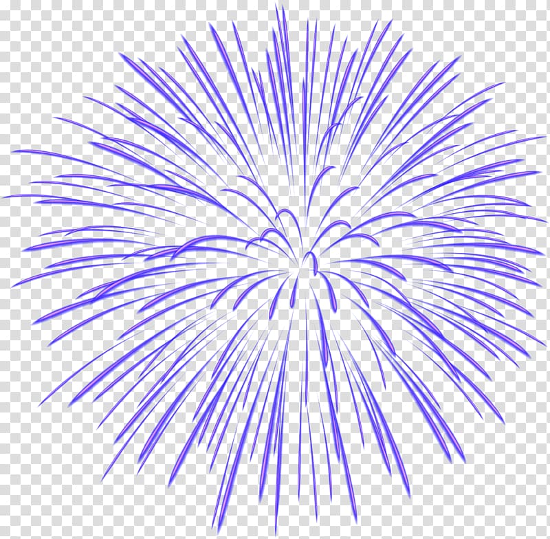 purple fireworks illustration, Fireworks , Blue Firework transparent background PNG clipart