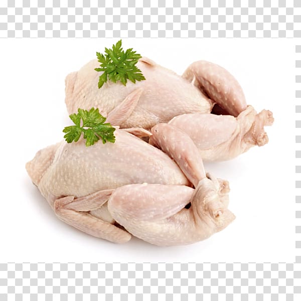 Free download | Common Quail Chicken Quail meat, chicken transparent ...