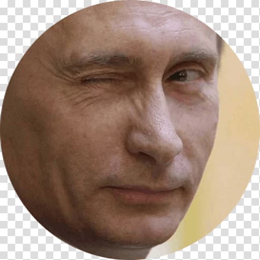 Vladimir Putin Accession of Crimea to the Russian Federation United States Ukraine, Vladimir Putin transparent background PNG clipart