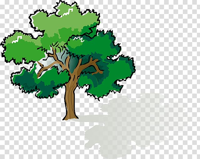 Shade tree Oak , environmental nature transparent background PNG clipart