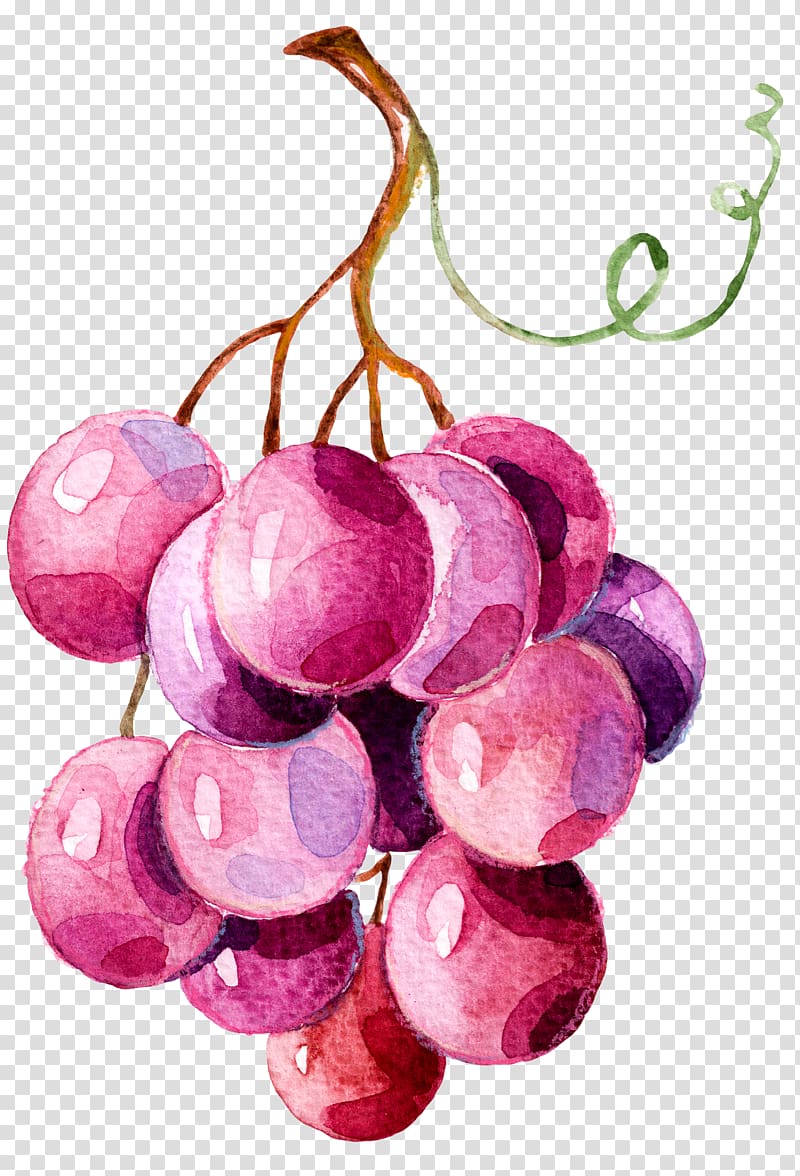 grape illustration, Grape Illustration, Bunch of grapes transparent background PNG clipart