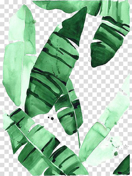 green banana leaves , Beverly Hills Paper Banana leaf Watercolor painting Art, leaf transparent background PNG clipart