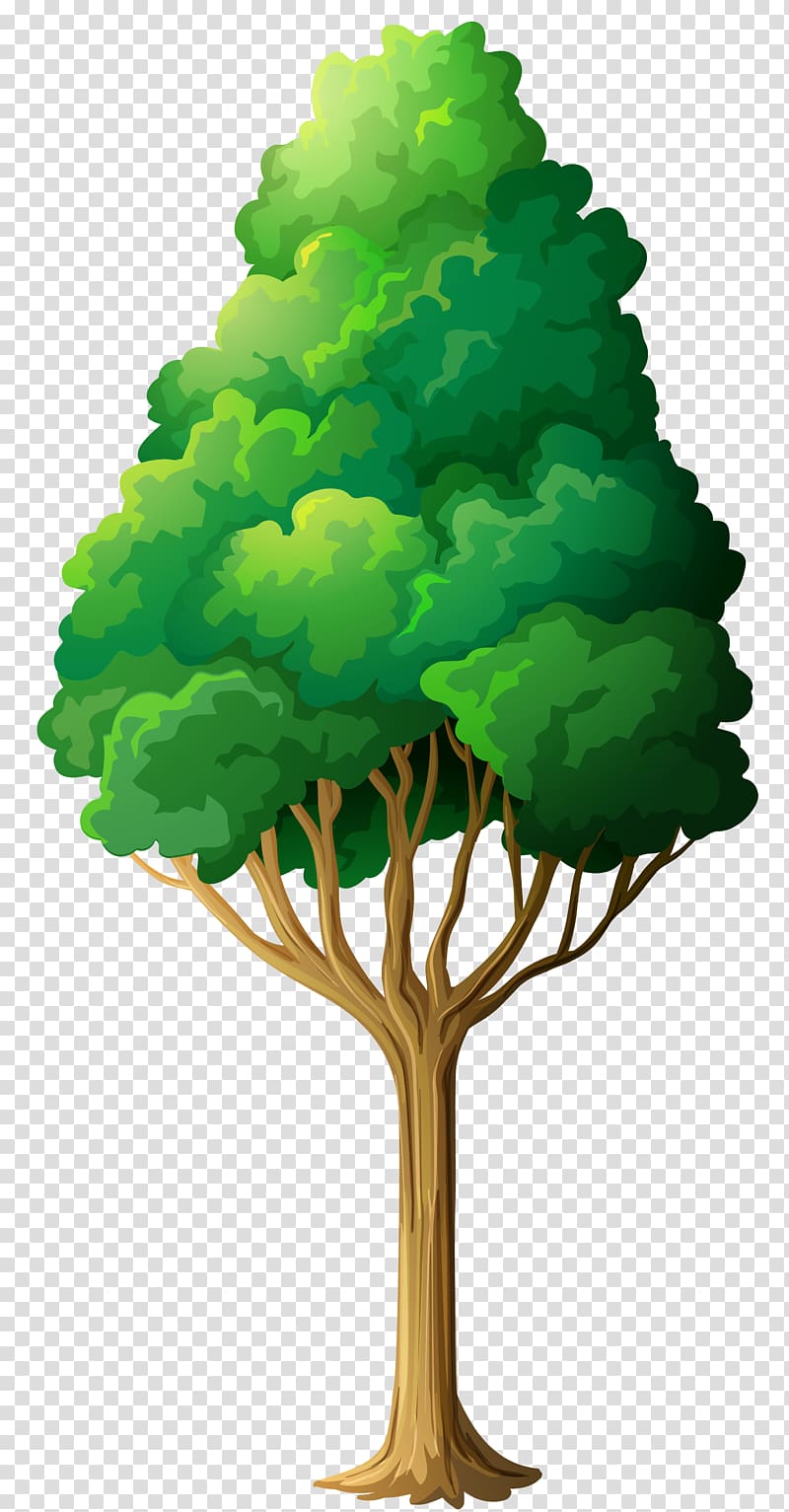 , Green Tree , green leafed tree illustration transparent background PNG clipart