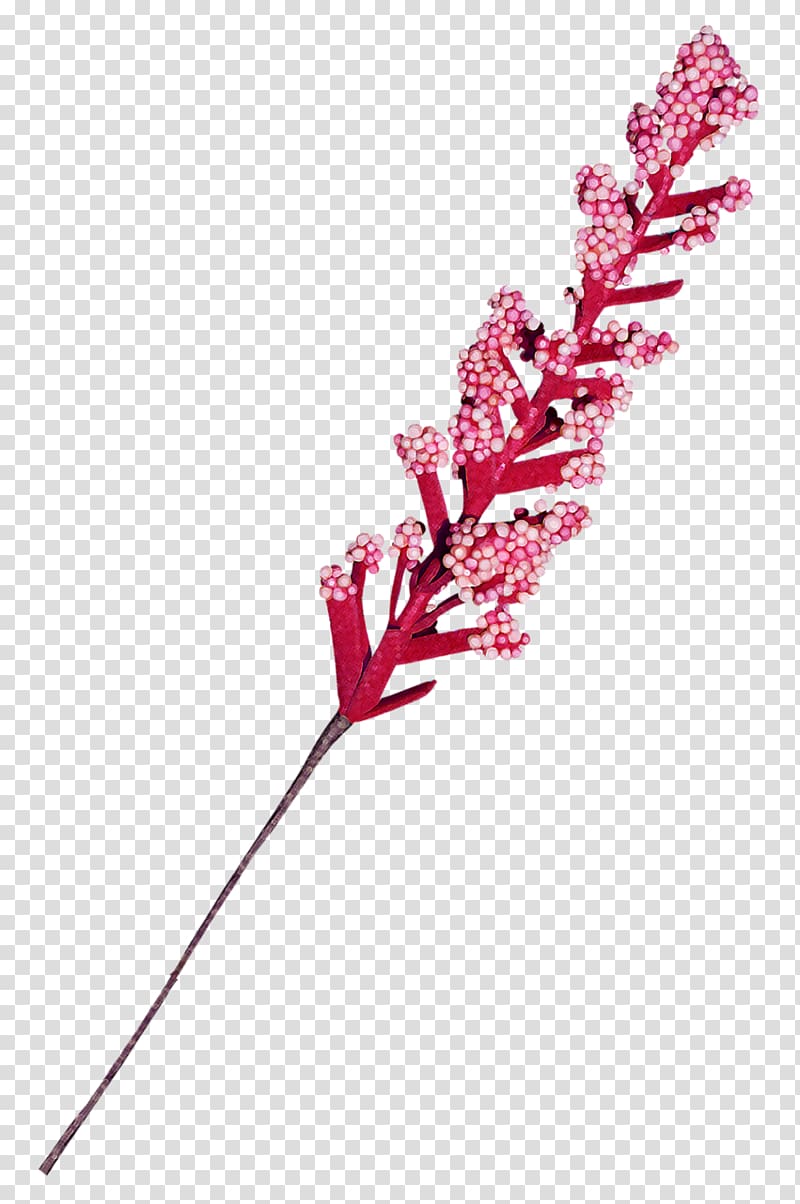 Flower , chai sheng transparent background PNG clipart
