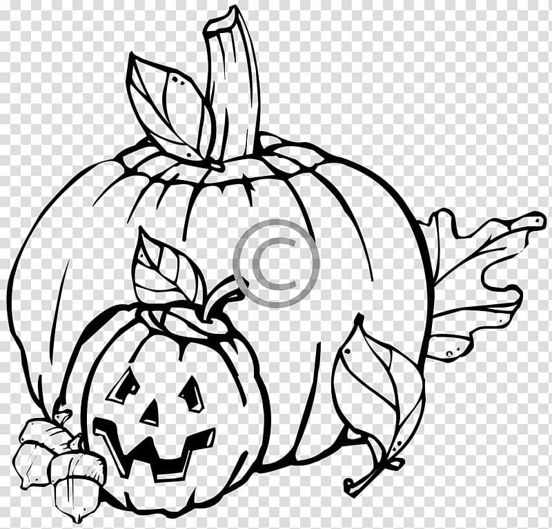 Pumpkin Drawing Line art , pumpkin transparent background PNG clipart