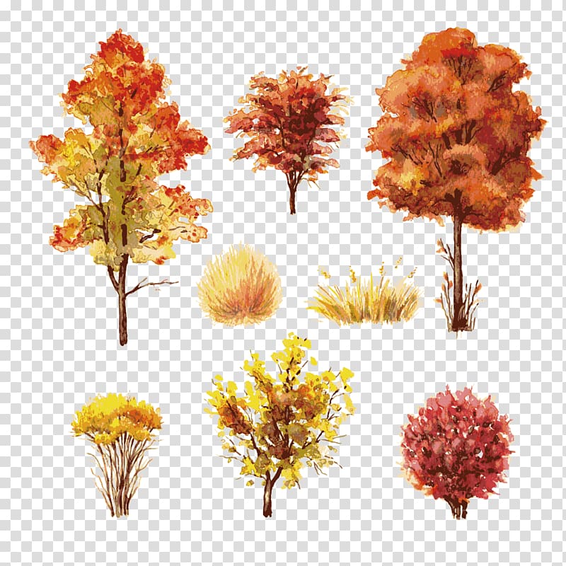 assorted-type plants illustration, Shrub Autumn leaf color Tree, Autumn trees transparent background PNG clipart