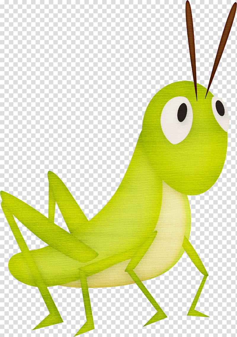Grasshopper Cartoon , Hand-painted grasshopper transparent background PNG clipart