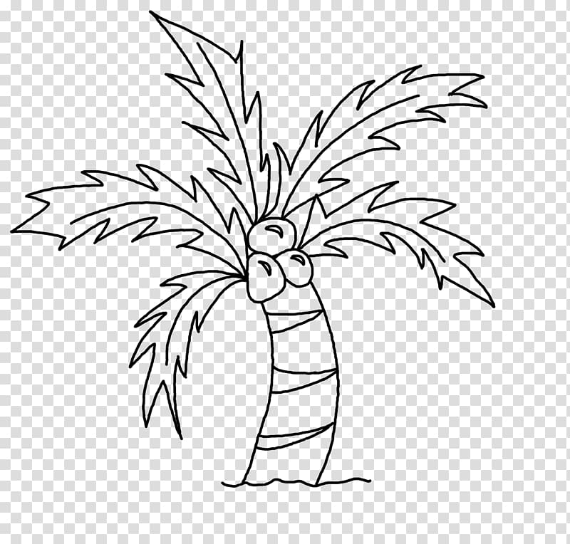 Drawing Coconut Art Sketch, palm leaves transparent background PNG clipart
